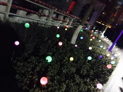 -金城公园