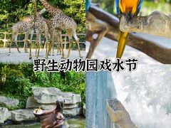 -上海野生动物园