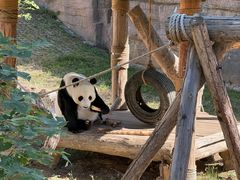 -石家庄市动物园