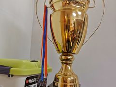 -天猫养车贴膜轻改·蓝电(优匹康桥东路店)