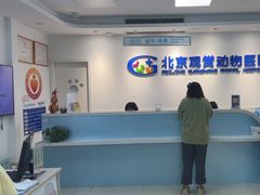 -北京观赏动物医院·24小时大型综合·猫专科·异宠专科