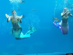 -瑞德姆美人鱼海底演艺主题餐厅(亚龙湾店)