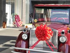 -兴芮温泉度假区