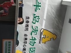 -半岛宠物医院24小时(白果林店)