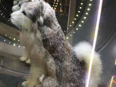 -广东科学中心