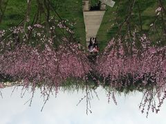 花溪十里河滩湿地公园-贵阳市花溪国家城市湿地公园