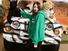 -济州岛泰迪熊博物馆