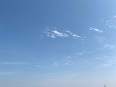 -贡湖湾湿地公园