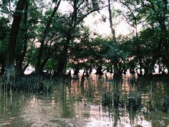 -宝安西湾红树林湿地公园