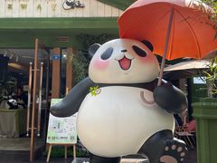 -轩客会(熊猫书店)