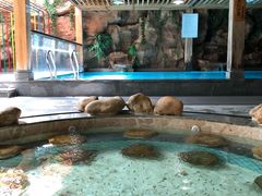 -御池园(顾村公园店)