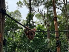 -广州长隆野生动物世界