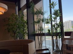 -金鼎轩(鸟巢北辰荟店)