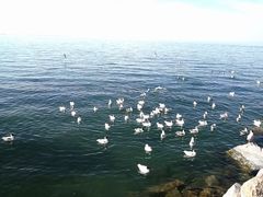 -初拾·花里餐厅(钜城华亿店)