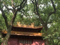 -普陀山风景名胜区-法雨禅寺
