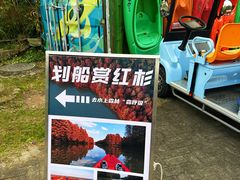 -上海海湾国家森林公园