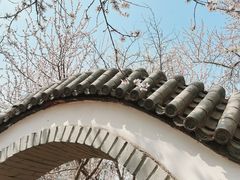 -桃花堤公园
