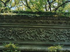 -普陀山风景名胜区-法雨禅寺