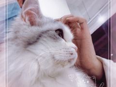 -怪兽屋·羊驼·猫咖·狗咖(俊华广场店)