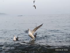 -银沙滩浴场