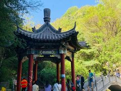 -王顺山国家森林公园
