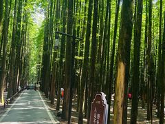 -山王坪喀斯特国家生态公园