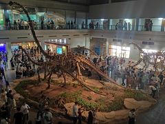 -自贡恐龙博物馆