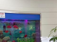 -雅悦齿科(顾村公园店)