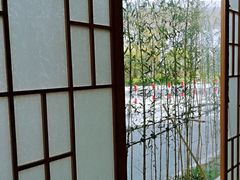 -紫· 割烹  Kappo Murasaki