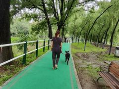 -黛秀湖公园