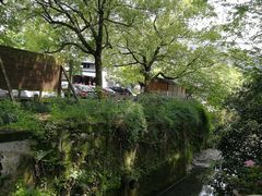 -欣怡茶庄·始于1999(梅家坞店)