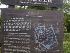 -广富林郊野公园-P5停车场