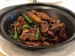 牛腩煲-花城苑广府菜(侨鑫店)
