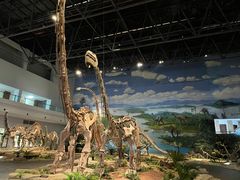 -自贡恐龙博物馆