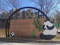 -鄂尔多斯野生动物园