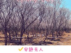 -绿堤公园