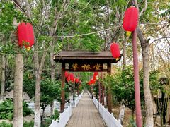 -草根堂农场