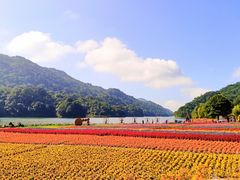 -广州市石门国家森林公园
