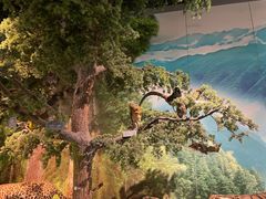 -重庆中国三峡博物馆(重庆博物馆)