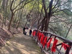 -绍兴汤江岩风景区