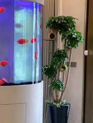 -新蝶变皮肤管理中心