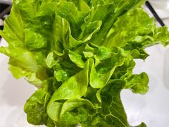 -陈记顺和潮汕牛肉火锅(番禺迎宾大道店)