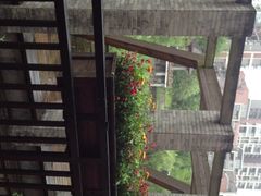 黔蘑菇四季餐厅(观山湖店)-黔蘑菇四季餐厅(观山湖店)