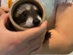 -绿色星球动物主题公园