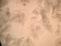 -沈阳海洋探索中心