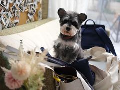 -零几体验diy皮具工作室(振业城店)