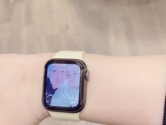 -Apple 零售店(Canton Road)