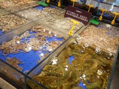 -船歌·鱼水饺青岛菜(闽江二路店)