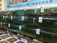 水产区-海岛渔村大酒店(云霄路店)