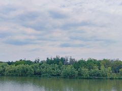 -眉山湿地公园(东坡区)